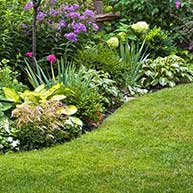 Landscaping & Lawn Care