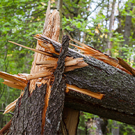 Storm Damage